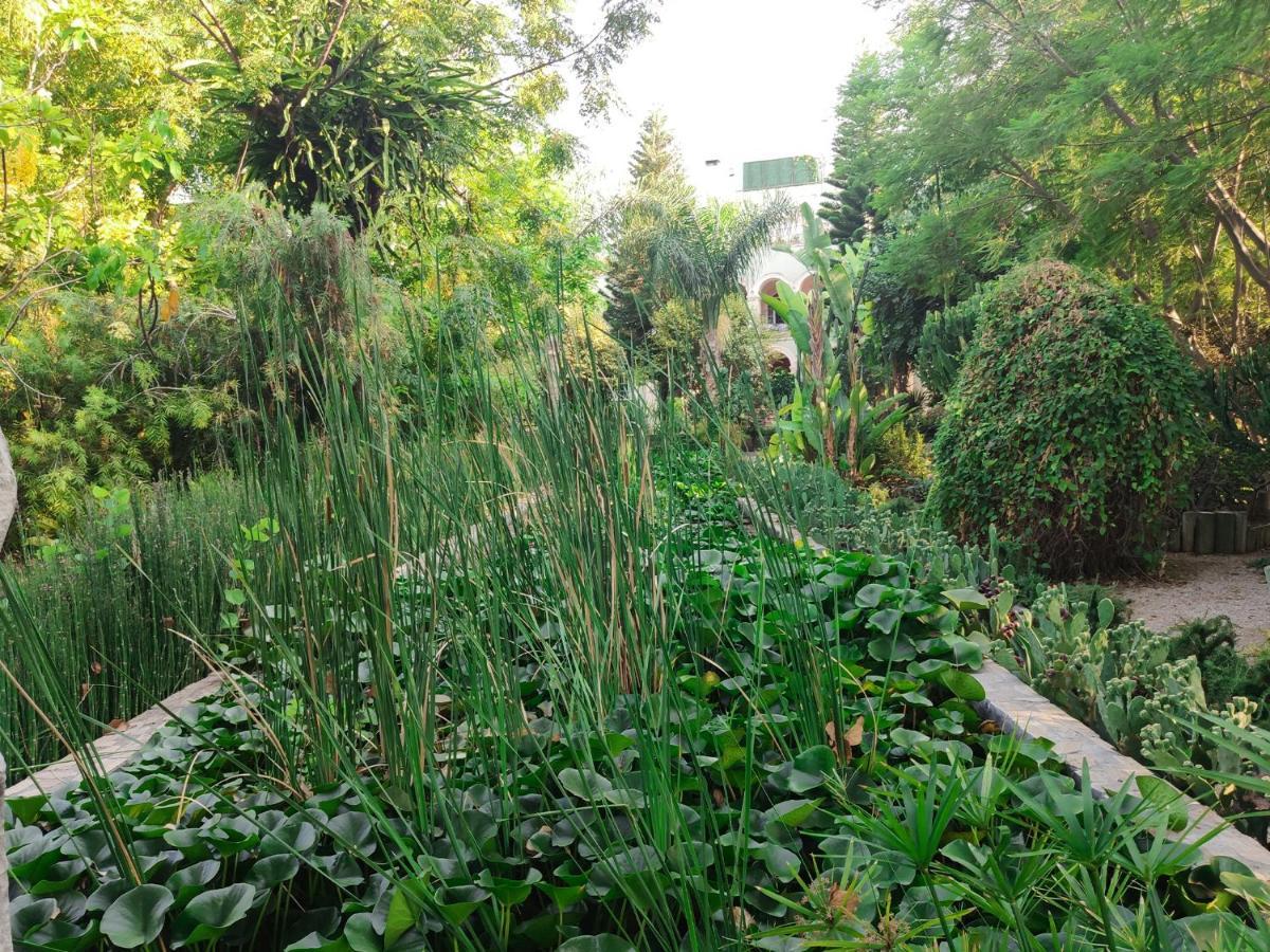 Babil Bahceleri - Gardens Of Babel Bed & Breakfast Lapithos  Exterior photo
