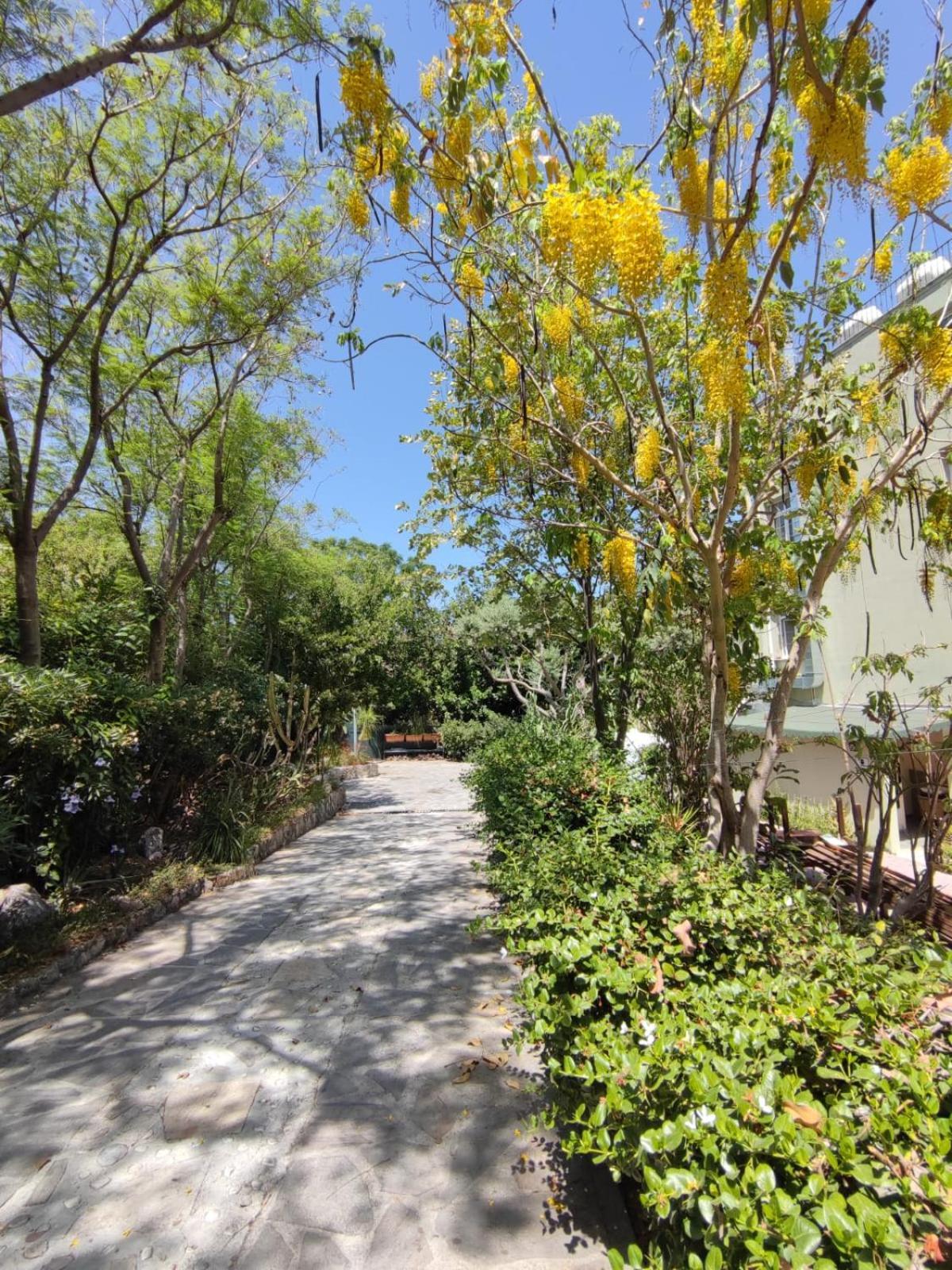 Babil Bahceleri - Gardens Of Babel Bed & Breakfast Lapithos  Exterior photo